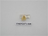 藏品(鉤弧紋豔苔蛾)的圖片